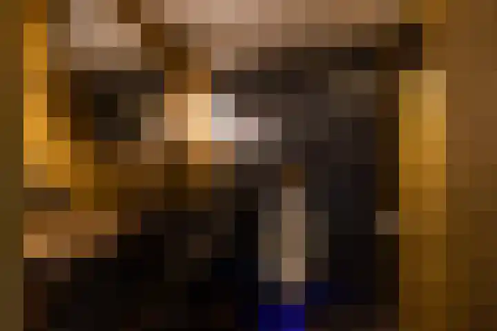 Willemskade 21 E Rotterdam thumbnail 34