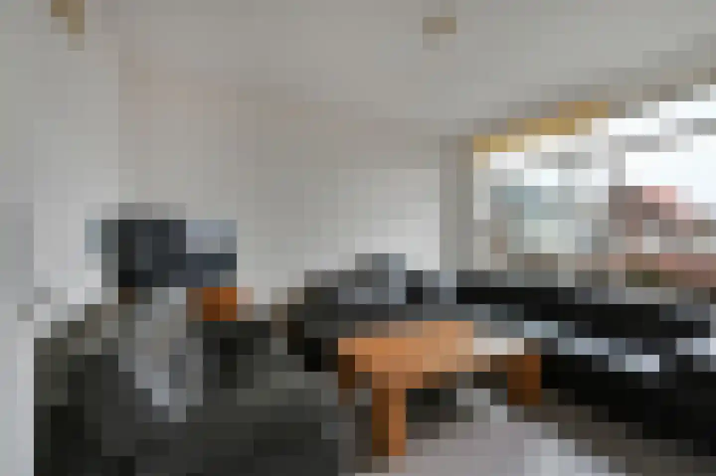 Willemskade 213 1 Schiedam thumbnail 8