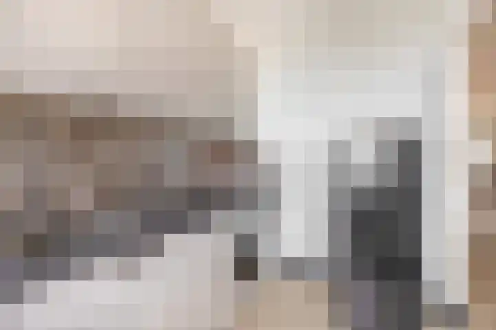 Willemskade 221 2 Schiedam thumbnail 23