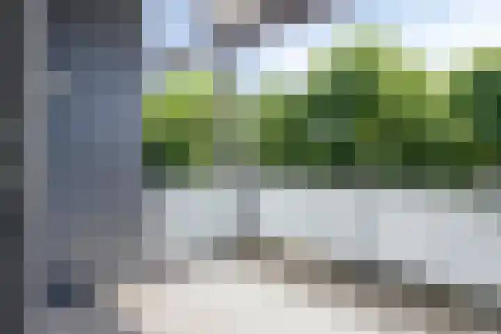 Willemskade 29 212 Hoogeveen thumbnail 27