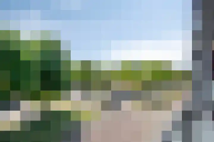 Willemskade 29 212 Hoogeveen thumbnail 28