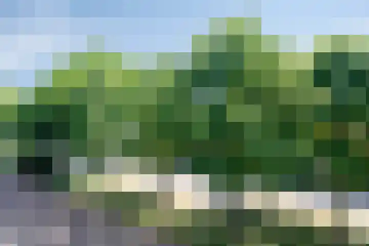 Willemskade 29 212 Hoogeveen thumbnail 29