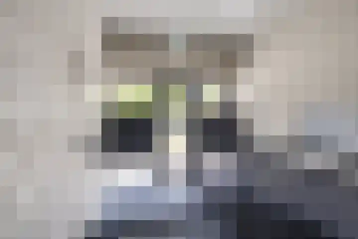 Willemskade 29 212 Hoogeveen thumbnail 7