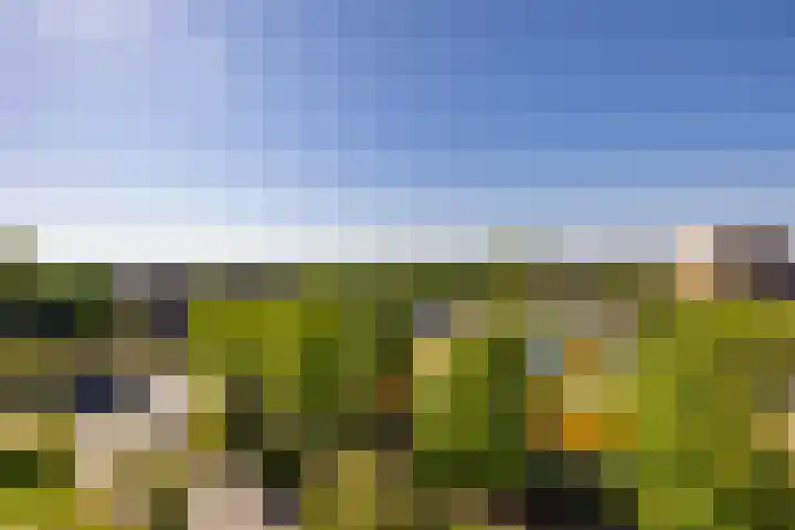 Willemskade 29 403 Hoogeveen thumbnail 22