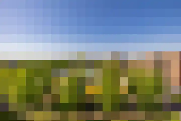 Willemskade 29 403 Hoogeveen thumbnail 23