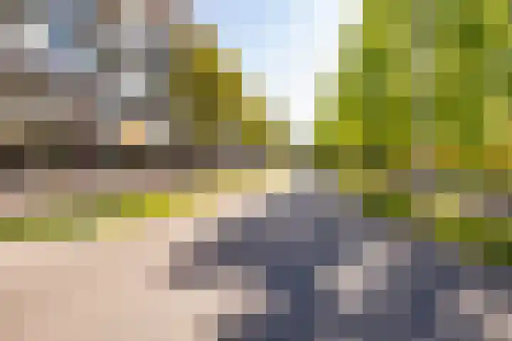 Willemskade 29 403 Hoogeveen thumbnail 63