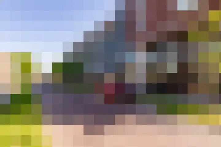 Willemskade 29 403 Hoogeveen thumbnail 65
