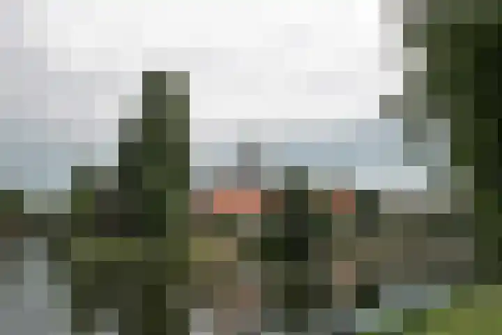 Willemskade 3 D Zwolle thumbnail 12