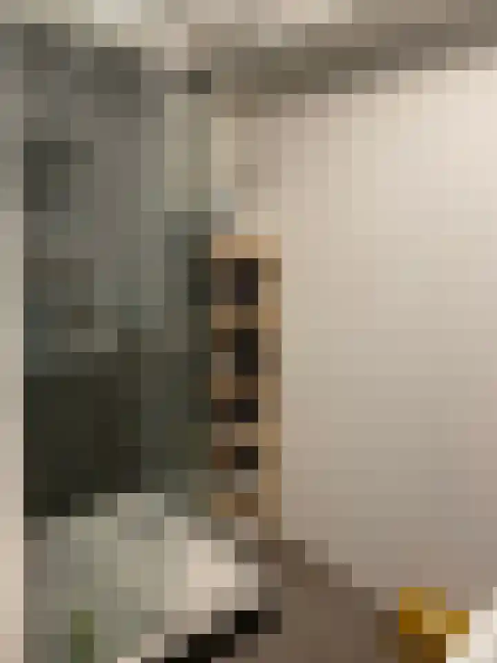 Willemskade 3 D Zwolle thumbnail 9