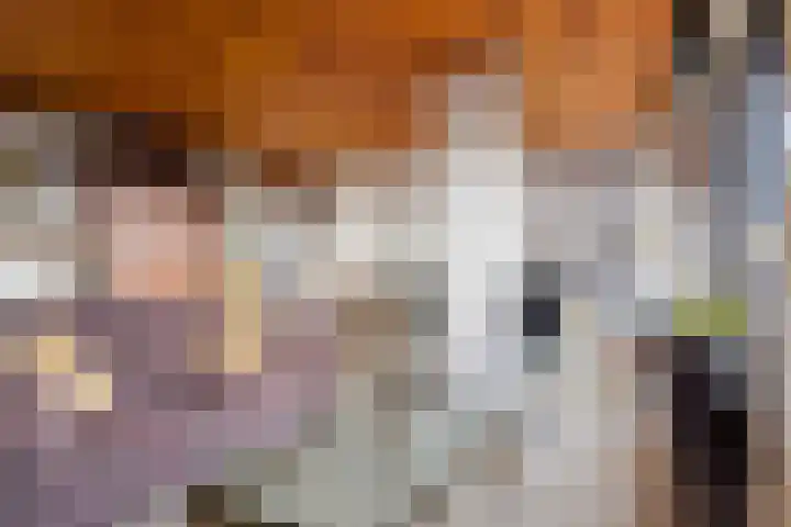Willemskade 4 d Leeuwarden thumbnail 12
