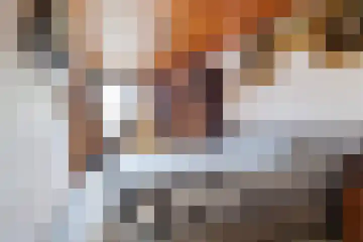 Willemskade 4 d Leeuwarden thumbnail 28