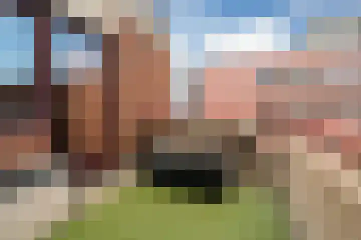 Willemskade 4 d Leeuwarden thumbnail 29