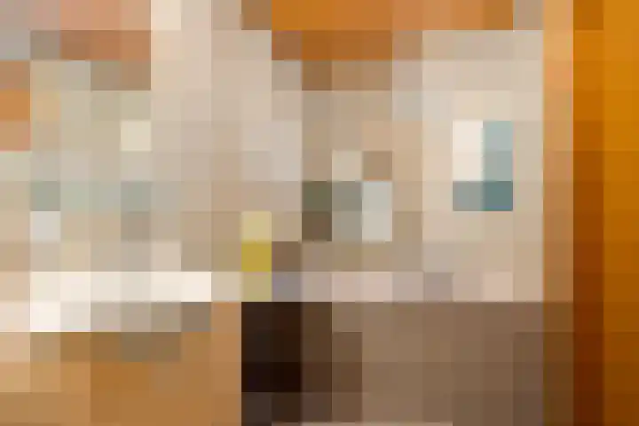 Willemskade 4 d Leeuwarden thumbnail 32