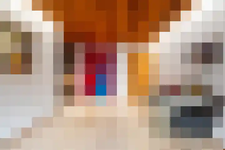 Willemskade 4 d Leeuwarden thumbnail 39