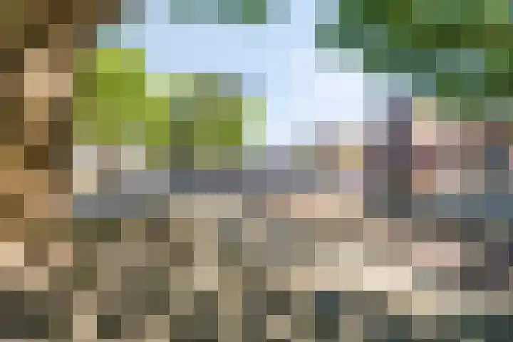 Willemskade 45 Schiedam thumbnail 30