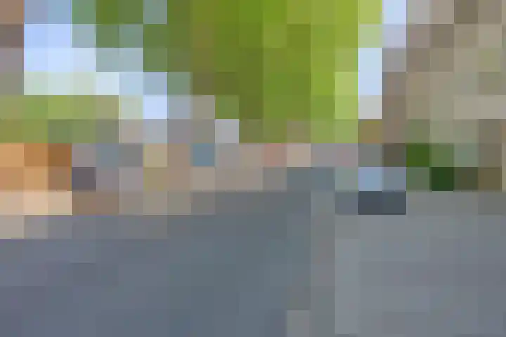 Willemskade 45 Schiedam thumbnail 5