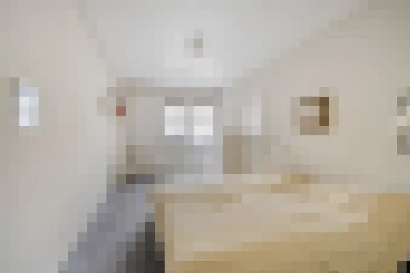 Willemskade 6 b Leeuwarden thumbnail 34