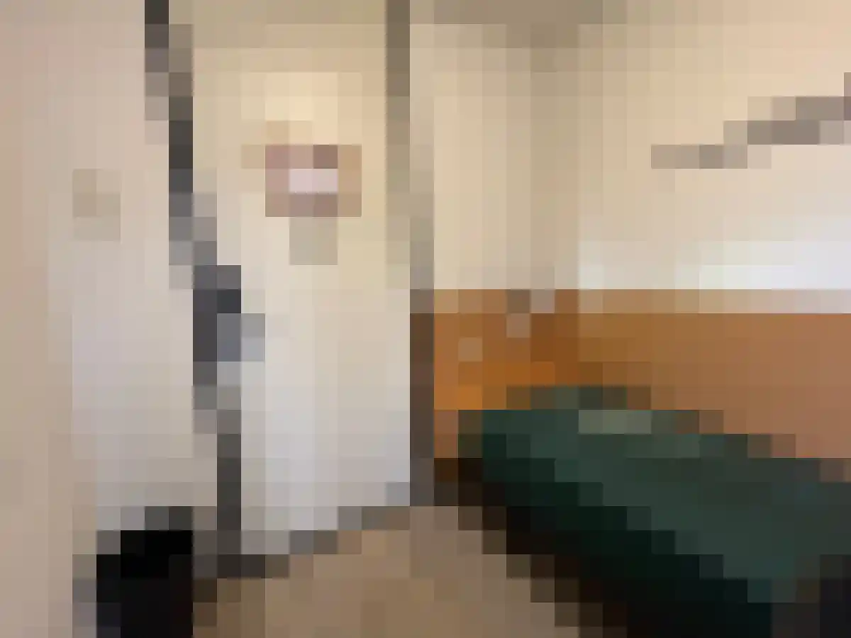 Willemskade Rotterdam thumbnail 4