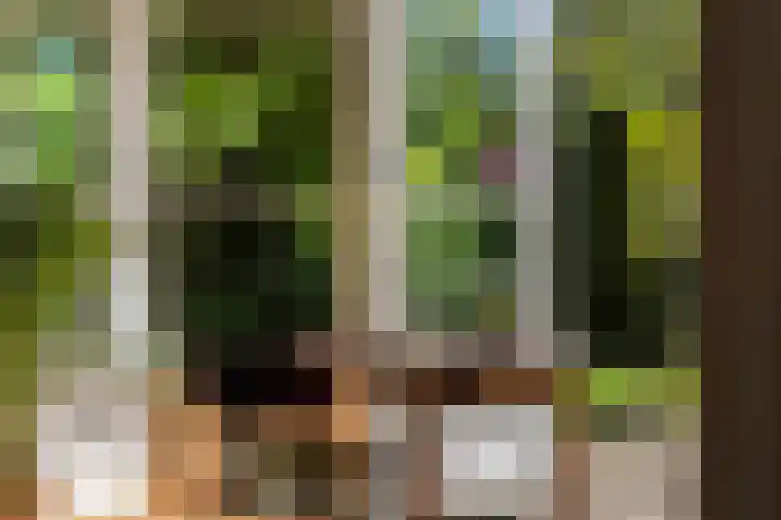Willemslaan 16 Bussum thumbnail 12