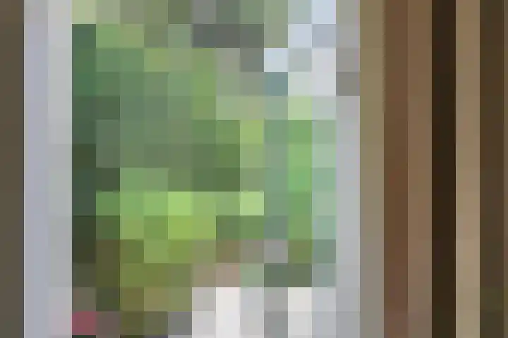 Willemslaan 16 Bussum thumbnail 16