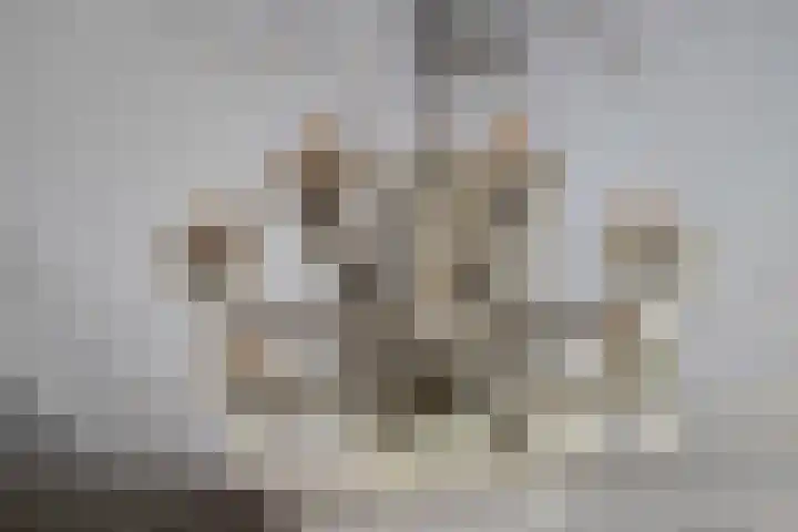 Willemslaan 16 Bussum thumbnail 17