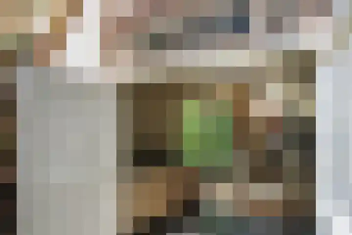 Willemslaan 16 Bussum thumbnail 38