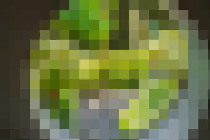 Willemslaan 16 Bussum thumbnail 44