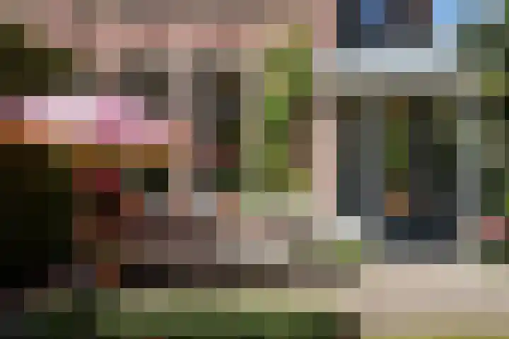 Willemslaan 16 Bussum thumbnail 48