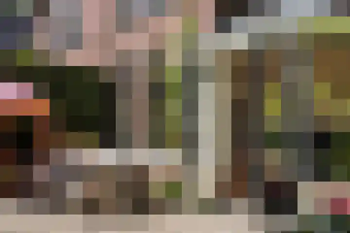 Willemslaan 16 Bussum thumbnail 49