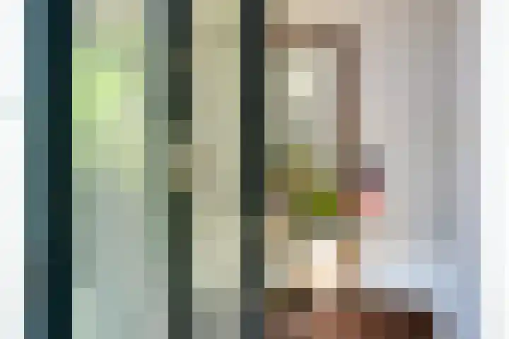 Willemslaan 16 Bussum thumbnail 5