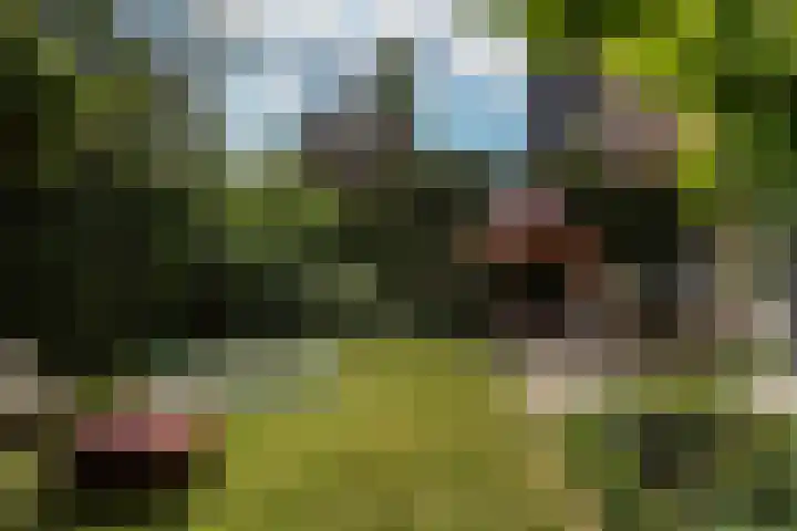Willemslaan 16 Bussum thumbnail 50