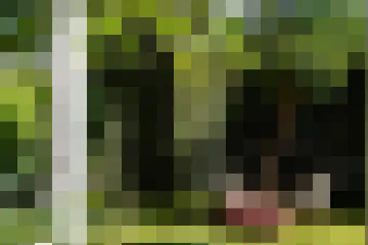 Willemslaan 16 Bussum thumbnail 51