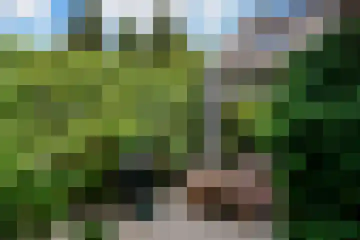 Willemslaan 16 Bussum thumbnail 52