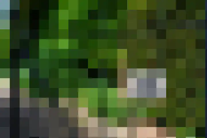 Willemslaan 16 Bussum thumbnail 54