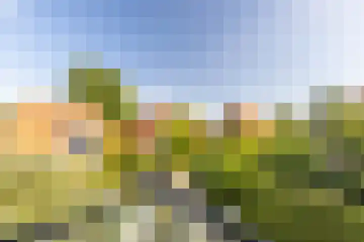 Willemslaan 23 Bussum thumbnail 21