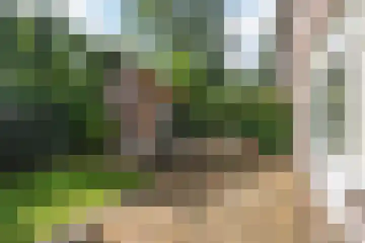 Willemslaan 23 Bussum thumbnail 40
