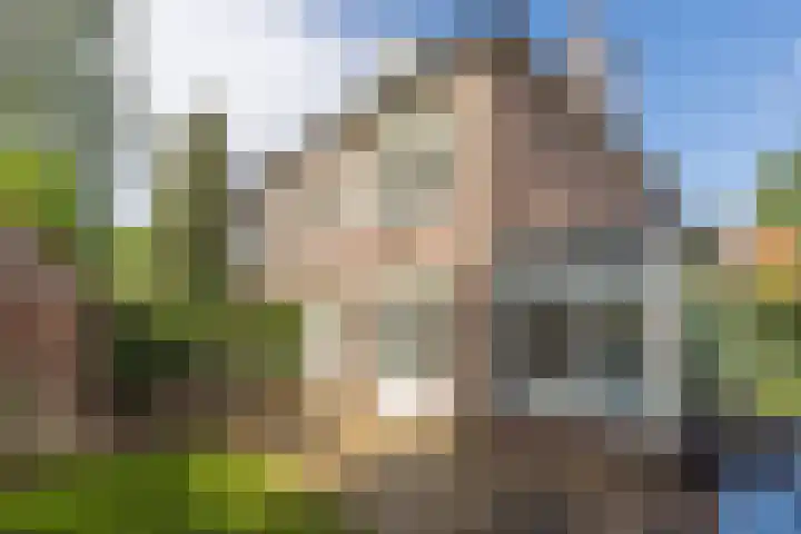 Willemslaan 23 Bussum thumbnail 41