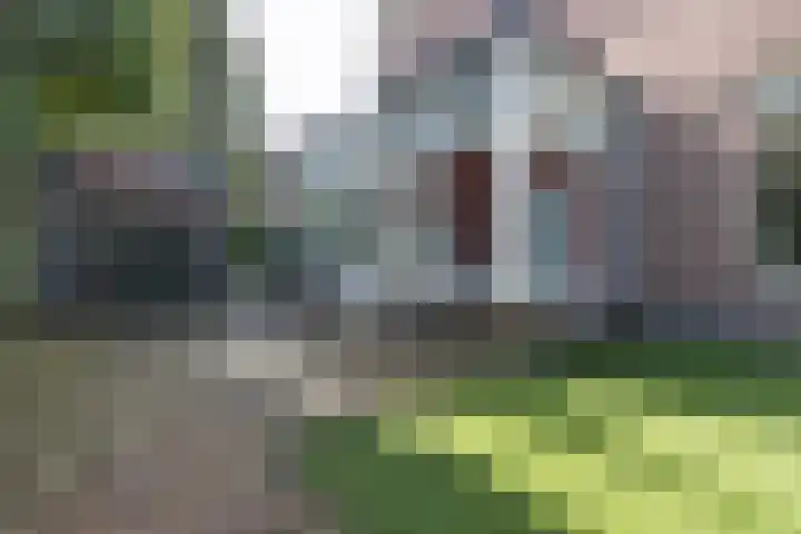 Willemslaan 23 Bussum thumbnail 42
