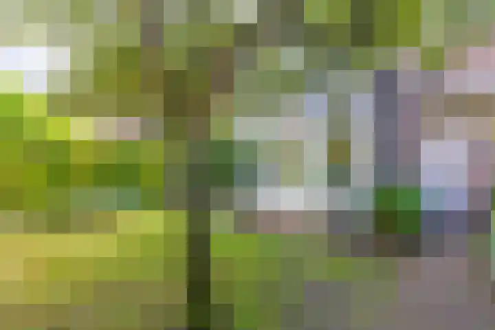 Willemslaan 23 Bussum thumbnail 44