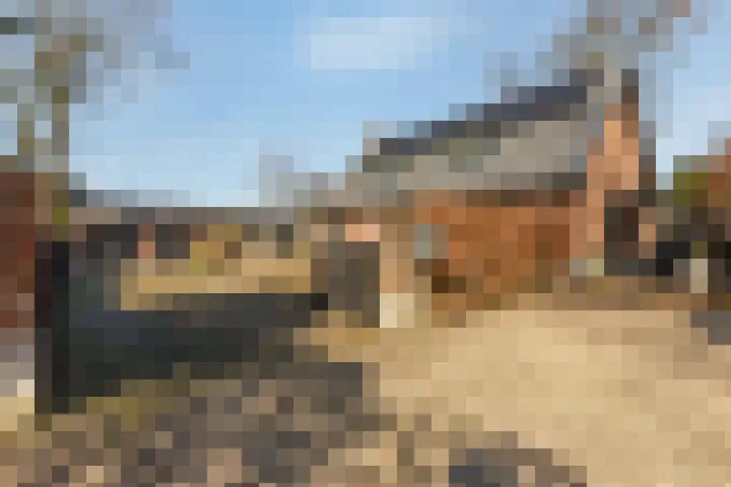 Willemslaan 7 Muiderberg