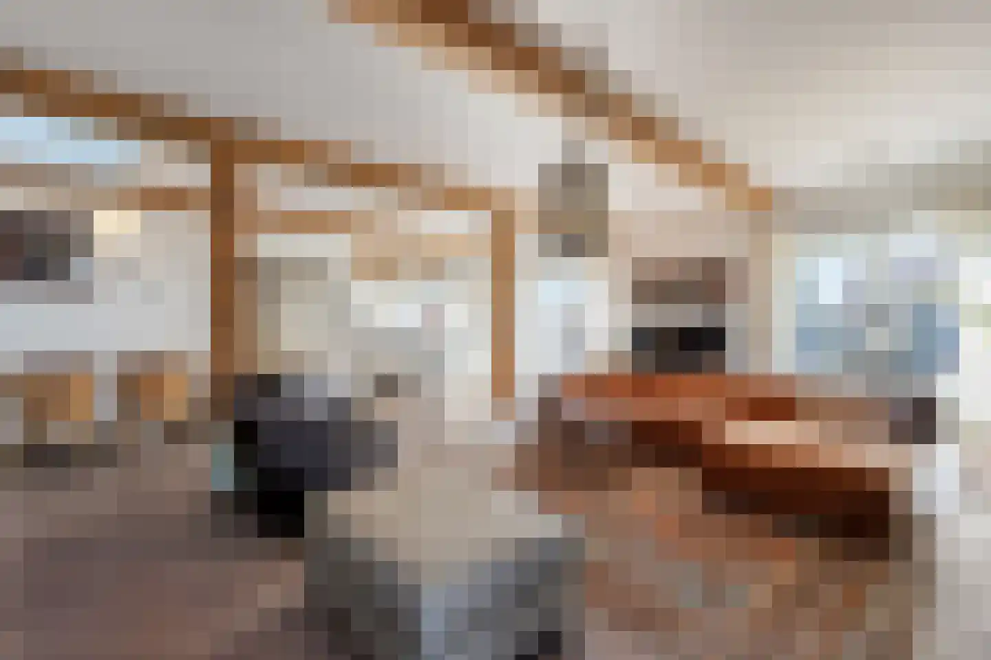 Willemslaan 7 Muiderberg thumbnail 12