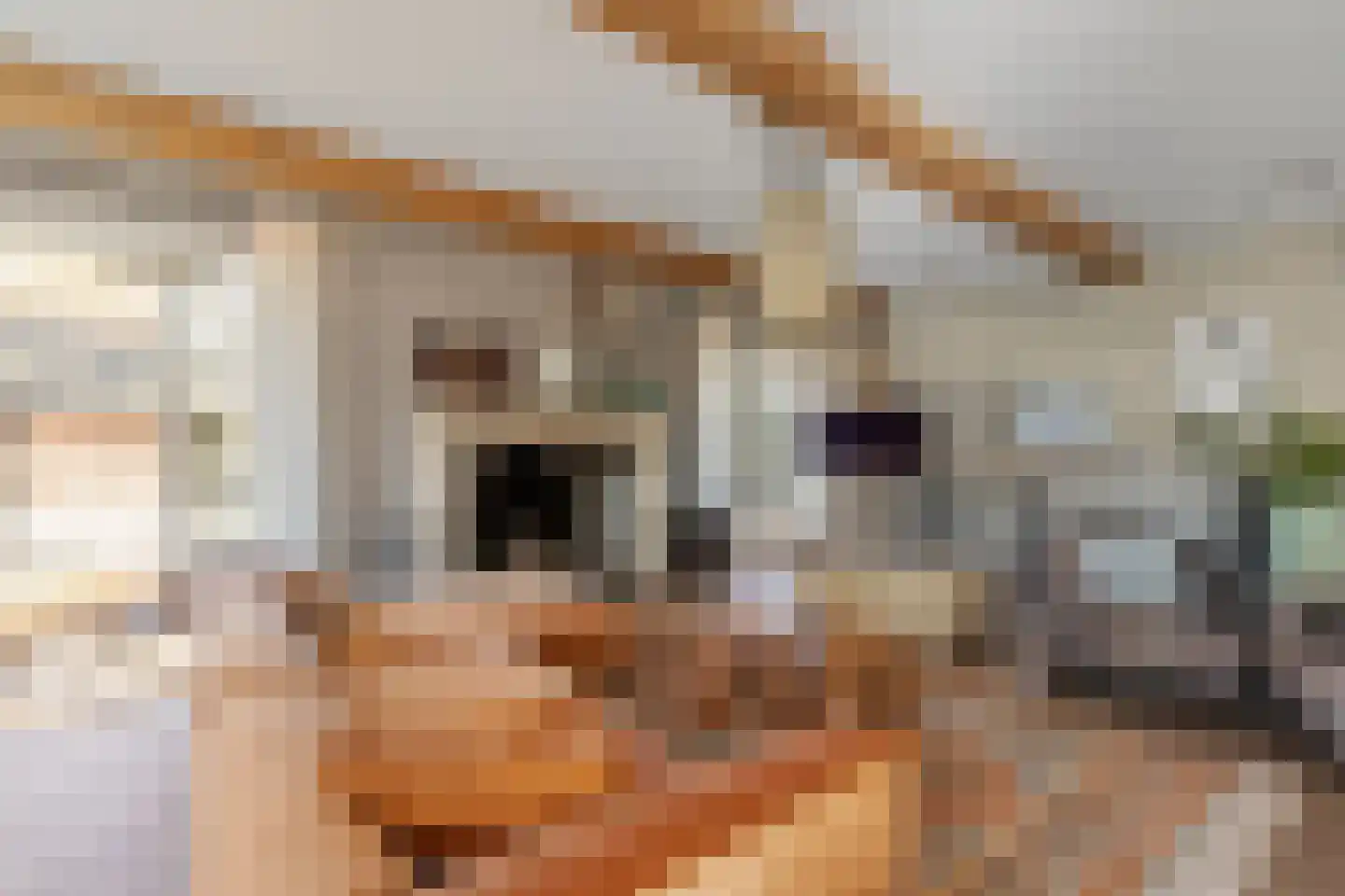 Willemslaan 7 Muiderberg thumbnail 14