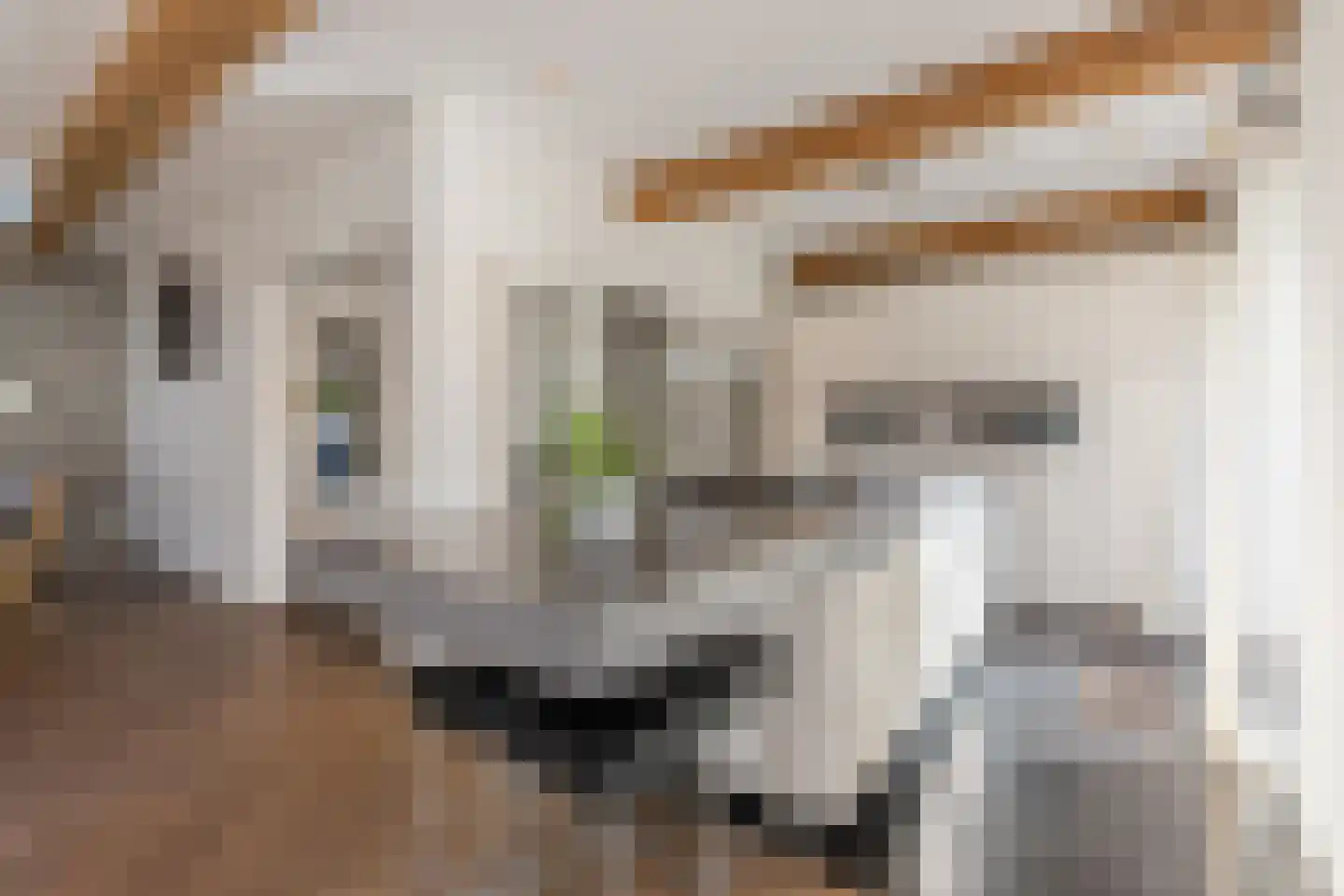 Willemslaan 7 Muiderberg thumbnail 18
