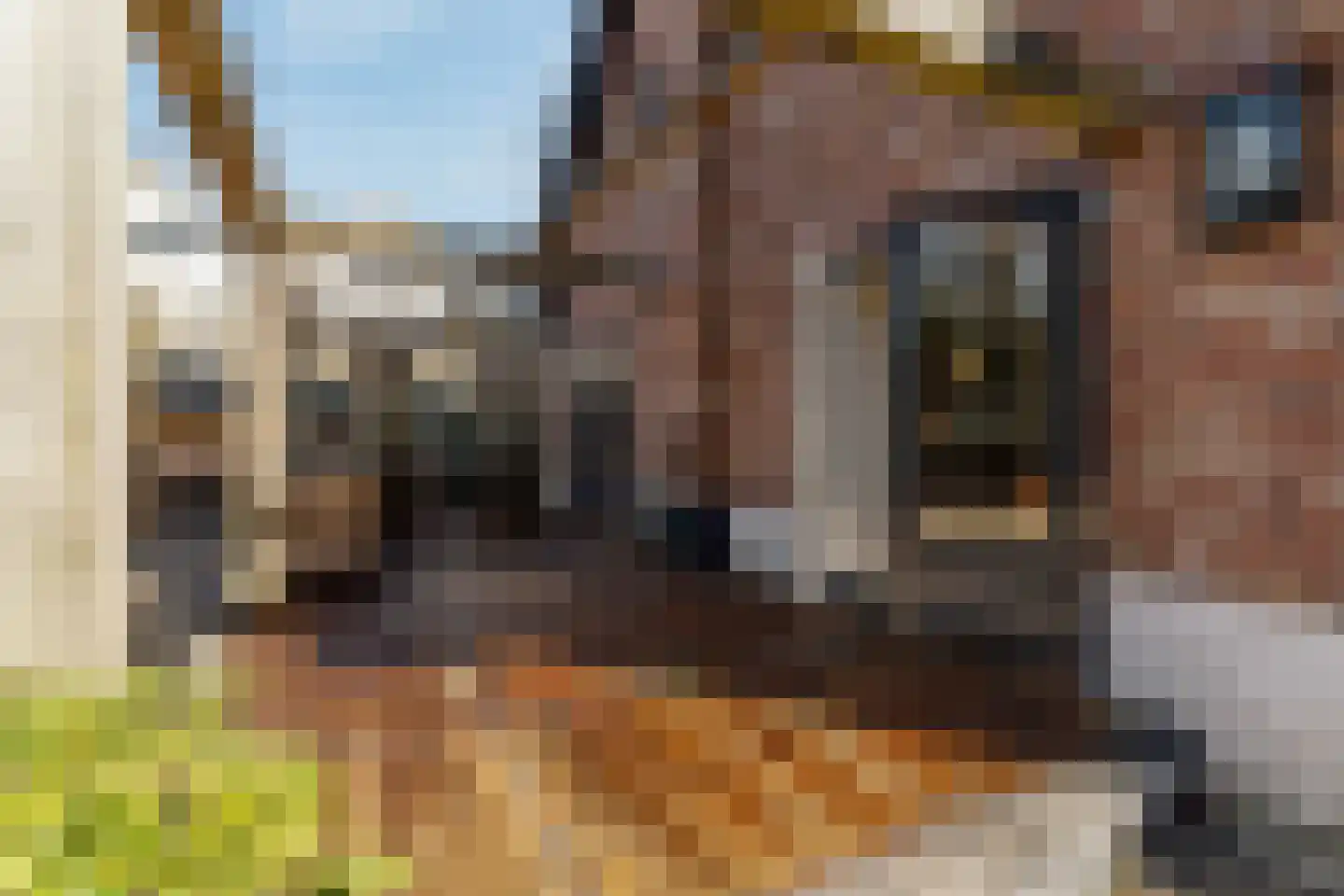 Willemslaan 7 Muiderberg thumbnail 22