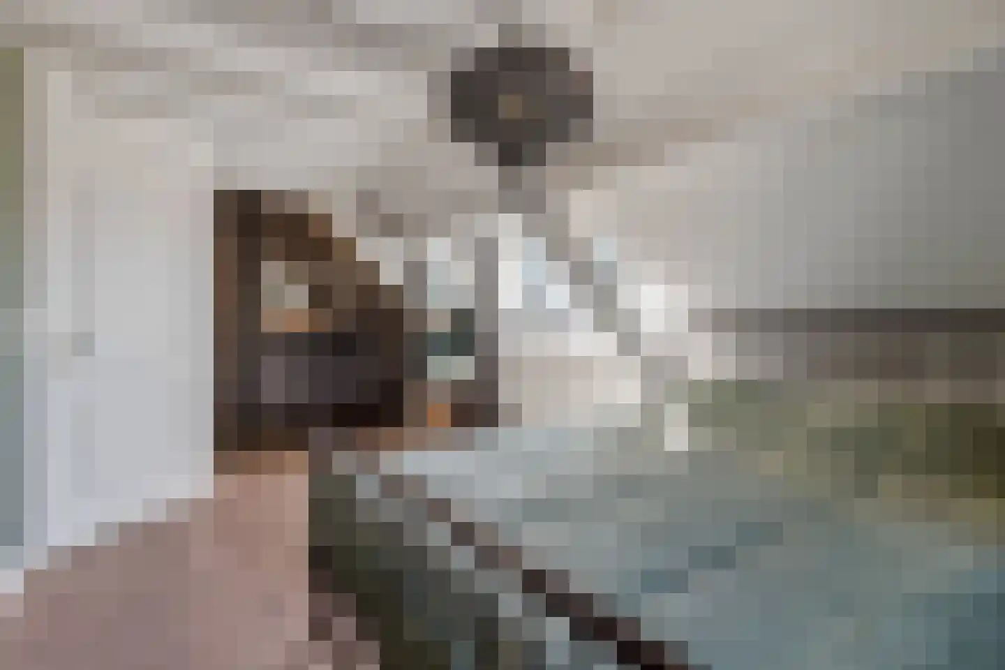 Willemslaan 7 Muiderberg thumbnail 22