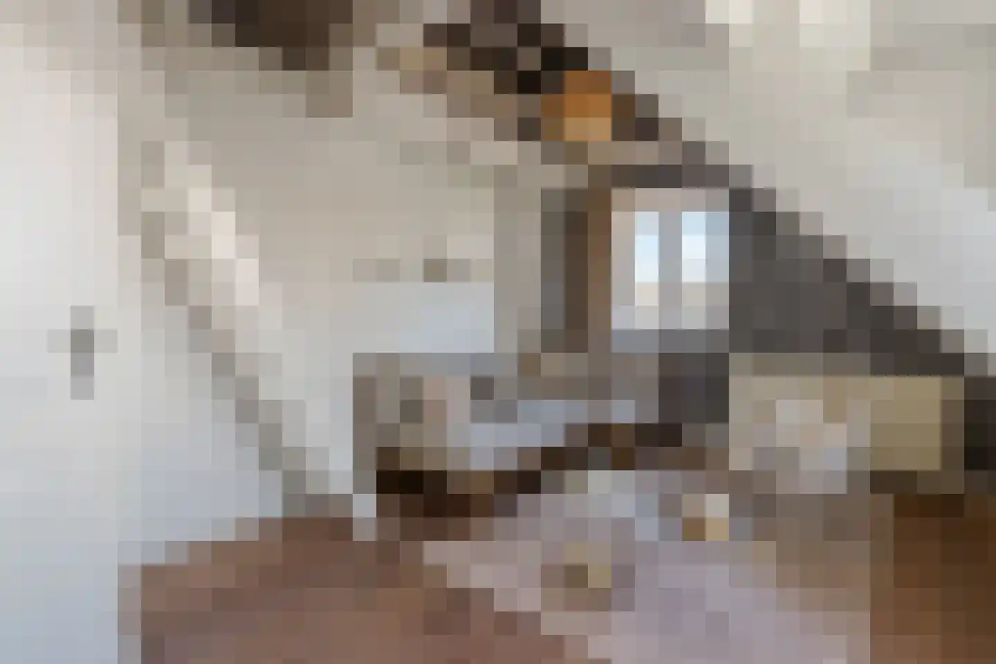 Willemslaan 7 Muiderberg thumbnail 34
