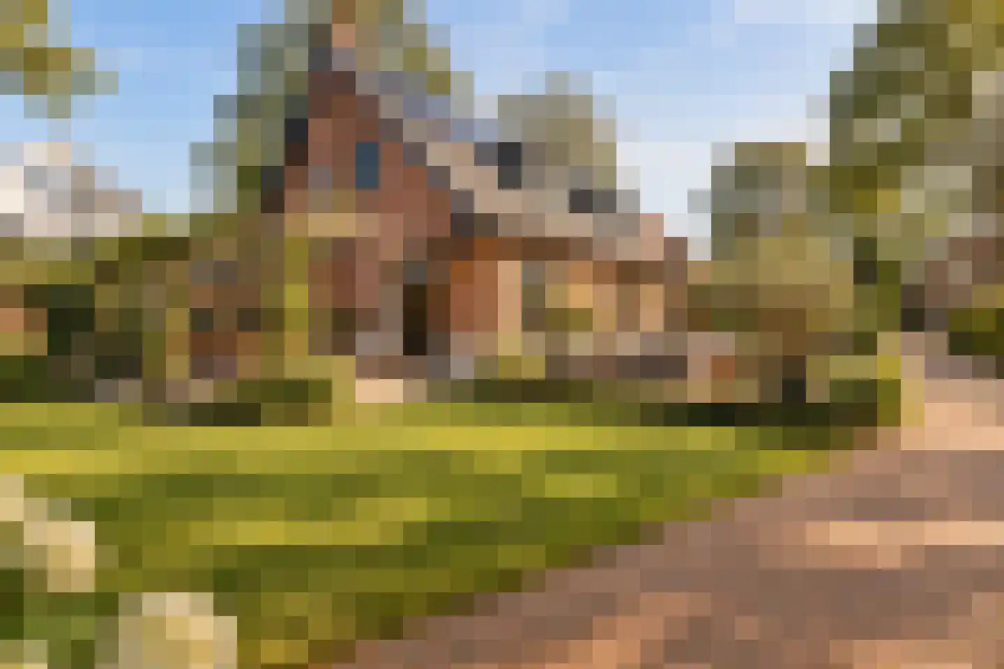 Willemslaan 7 Muiderberg thumbnail 5