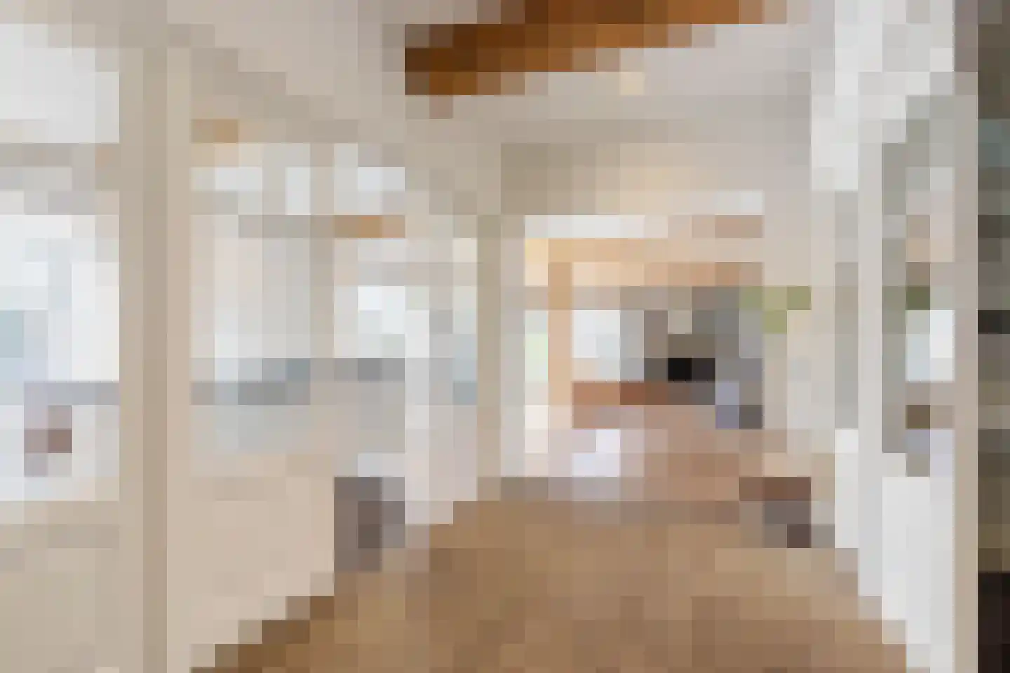 Willemslaan 7 Muiderberg thumbnail 8