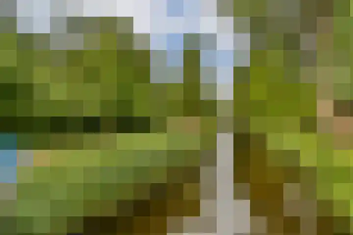 Willemsparkweg 109 2 Amsterdam thumbnail 25
