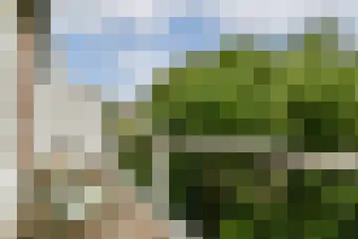 Willemsparkweg 109 2 Amsterdam thumbnail 9